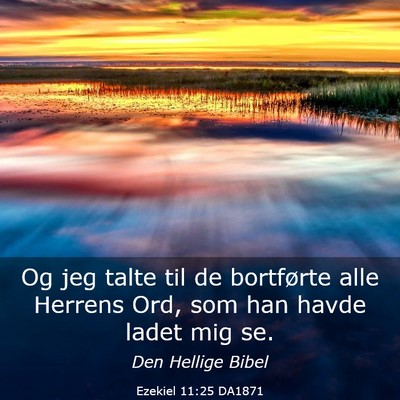 Picture 03 - Ezekiel 11:25 DA1871 - Og jeg talte til de bortførte alle Herrens Ord, - Bible Verse Picture