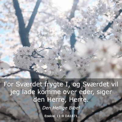 Picture 03 - Ezekiel 11:8 DA1871 - For Sværdet frygte I, og Sværdet vil jeg lade - Bible Verse Picture