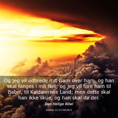 Picture 03 - Ezekiel 12:13 DA1871 - Og jeg vil udbrede mit Garn over ham, og han skal - Bible Verse Picture