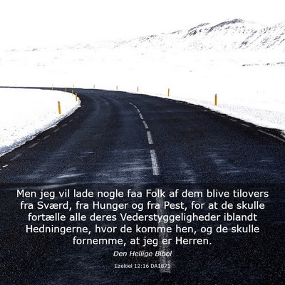 Picture 03 - Ezekiel 12:16 DA1871 - Men jeg vil lade nogle faa Folk af dem blive - Bible Verse Picture