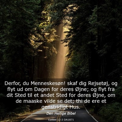 Picture 03 - Ezekiel 12:3 DA1871 - Derfor, du Menneskesøn! skaf dig Rejsetøj, og - Bible Verse Picture