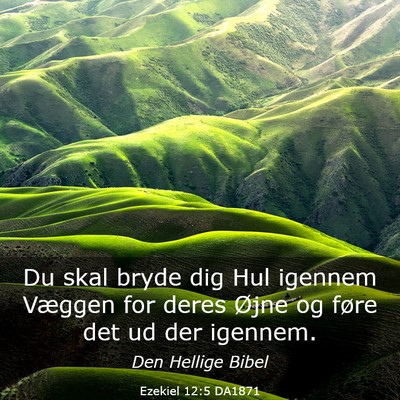 Picture 03 - Ezekiel 12:5 DA1871 - Du skal bryde dig Hul igennem Væggen for deres - Bible Verse Picture