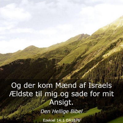 Picture 03 - Ezekiel 14:1 DA1871 - Og der kom Mænd af Israels Ældste til mig og - Bible Verse Picture