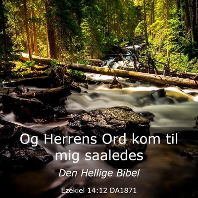 Picture 03 - Ezekiel 14:12 DA1871 - Og Herrens Ord kom til mig - Bible Verse Picture