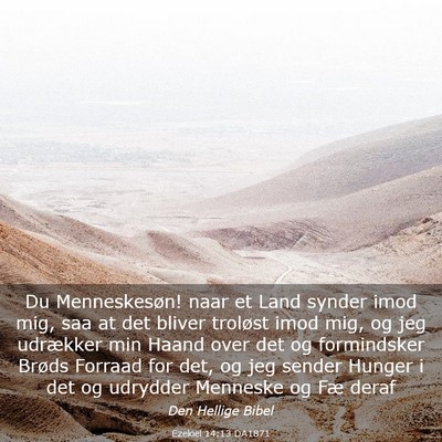 Picture 03 - Ezekiel 14:13 DA1871 - Du Menneskesøn! naar et Land synder imod mig, - Bible Verse Picture