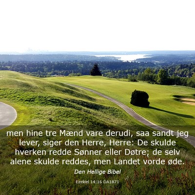 Picture 03 - Ezekiel 14:16 DA1871 - men hine tre Mænd vare derudi, saa sandt jeg - Bible Verse Picture