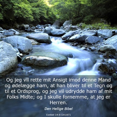Picture 03 - Ezekiel 14:8 DA1871 - Og jeg vil rette mit Ansigt imod denne Mand og - Bible Verse Picture