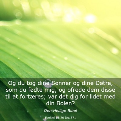 Picture 03 - Ezekiel 16:20 DA1871 - Og du tog dine Sønner og dine Døtre, som du - Bible Verse Picture