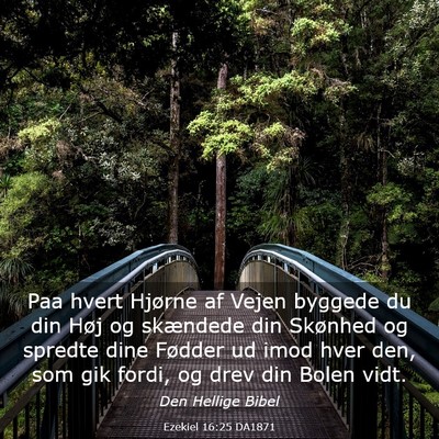 Picture 03 - Ezekiel 16:25 DA1871 - Paa hvert Hjørne af Vejen byggede du din Høj og - Bible Verse Picture