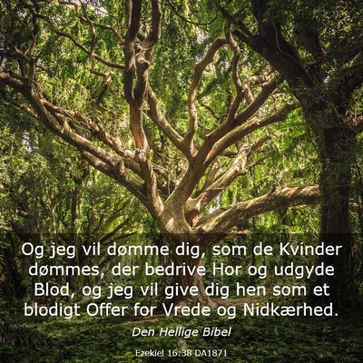 Picture 03 - Ezekiel 16:38 DA1871 - Og jeg vil dømme dig, som de Kvinder dømmes, - Bible Verse Picture