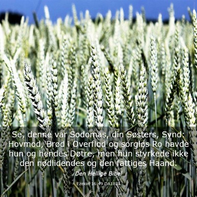 Picture 03 - Ezekiel 16:49 DA1871 - Se, denne var Sodomas, din Søsters, Synd: - Bible Verse Picture