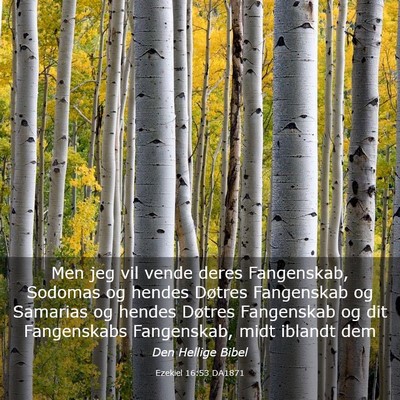 Picture 03 - Ezekiel 16:53 DA1871 - Men jeg vil vende deres Fangenskab, Sodomas og - Bible Verse Picture