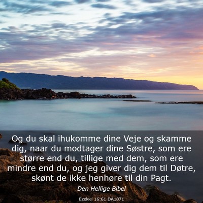 Picture 03 - Ezekiel 16:61 DA1871 - Og du skal ihukomme dine Veje og skamme dig, naar - Bible Verse Picture