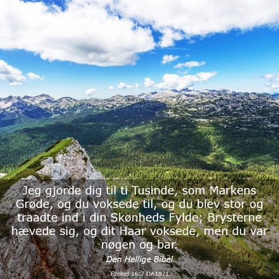 Picture 03 - Ezekiel 16:7 DA1871 - Jeg gjorde dig til ti Tusinde, som Markens - Bible Verse Picture