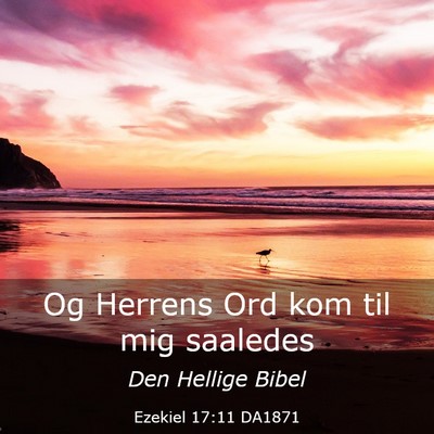 Picture 03 - Ezekiel 17:11 DA1871 - Og Herrens Ord kom til mig - Bible Verse Picture