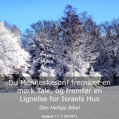 Picture 03 - Ezekiel 17:2 DA1871 - Du Menneskesøn! fremsæt en mørk Tale, og - Bible Verse Picture