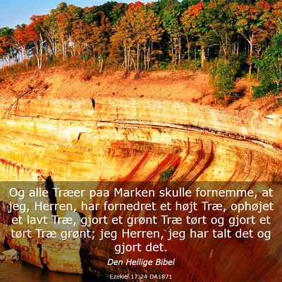 Picture 03 - Ezekiel 17:24 DA1871 - Og alle Træer paa Marken skulle fornemme, at - Bible Verse Picture
