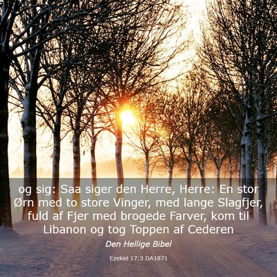 Picture 03 - Ezekiel 17:3 DA1871 - og sig: Saa siger den Herre, Herre: En stor Ørn - Bible Verse Picture
