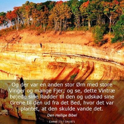 Picture 03 - Ezekiel 17:7 DA1871 - Og der var en anden stor Ørn med store Vinger og - Bible Verse Picture