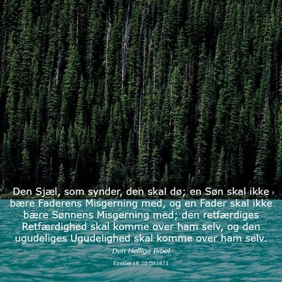 Picture 03 - Ezekiel 18:20 DA1871 - Den Sjæl, som synder, den skal dø; en Søn skal - Bible Verse Picture