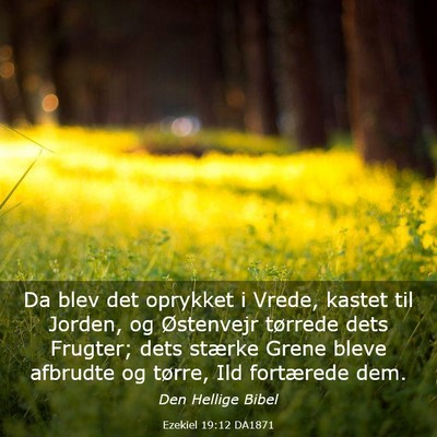 Picture 03 - Ezekiel 19:12 DA1871 - Da blev det oprykket i Vrede, kastet til Jorden, - Bible Verse Picture