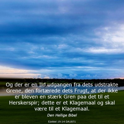 Picture 03 - Ezekiel 19:14 DA1871 - Og der er en Ild udgangen fra dets udstrakte - Bible Verse Picture