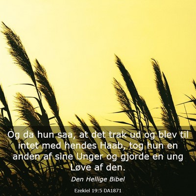 Picture 03 - Ezekiel 19:5 DA1871 - Og da hun saa, at det trak ud og blev til intet - Bible Verse Picture