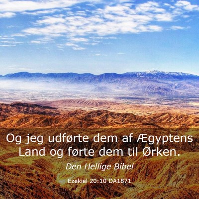 Picture 03 - Ezekiel 20:10 DA1871 - Og jeg udførte dem af Ægyptens Land og førte - Bible Verse Picture