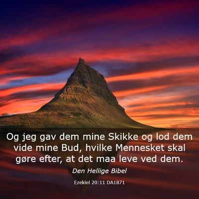 Picture 03 - Ezekiel 20:11 DA1871 - Og jeg gav dem mine Skikke og lod dem vide mine - Bible Verse Picture