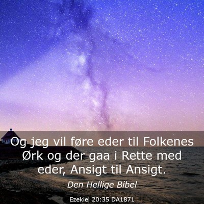 Picture 03 - Ezekiel 20:35 DA1871 - Og jeg vil føre eder til Folkenes Ørk og der - Bible Verse Picture