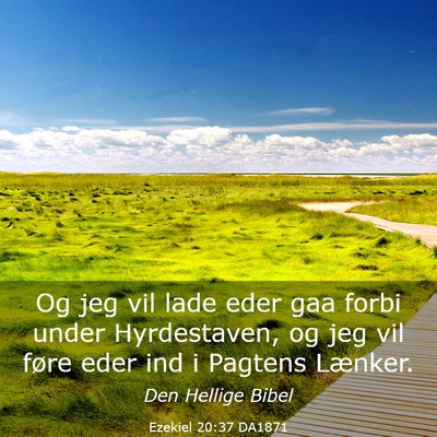 Picture 03 - Ezekiel 20:37 DA1871 - Og jeg vil lade eder gaa forbi under Hyrdestaven, - Bible Verse Picture