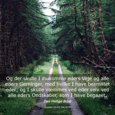 Picture 03 - Ezekiel 20:43 DA1871 - Og der skulle I ihukomme eders Veje og alle eders - Bible Verse Picture
