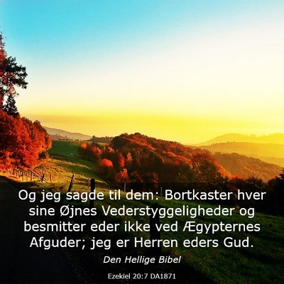 Picture 03 - Ezekiel 20:7 DA1871 - Og jeg sagde til dem: Bortkaster hver sine Øjnes - Bible Verse Picture