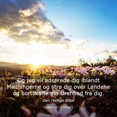 Picture 03 - Ezekiel 22:15 DA1871 - Og jeg vil adsprede dig iblandt Hedningerne og - Bible Verse Picture