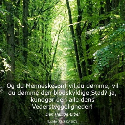 Picture 03 - Ezekiel 22:2 DA1871 - Og du Menneskesøn! vil du dømme, vil du dømme - Bible Verse Picture