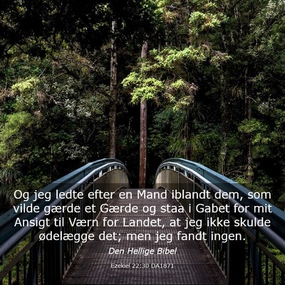 Picture 03 - Ezekiel 22:30 DA1871 - Og jeg ledte efter en Mand iblandt dem, som vilde - Bible Verse Picture