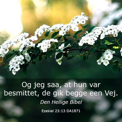 Picture 03 - Ezekiel 23:13 DA1871 - Og jeg saa, at hun var besmittet, de gik begge - Bible Verse Picture
