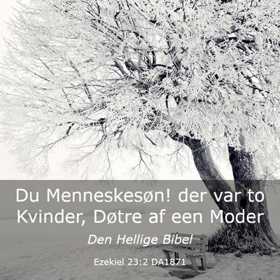 Picture 03 - Ezekiel 23:2 DA1871 - Du Menneskesøn! der var to Kvinder, Døtre af - Bible Verse Picture