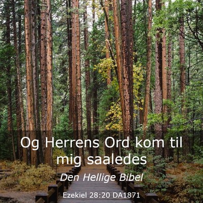 Picture 03 - Ezekiel 28:20 DA1871 - Og Herrens Ord kom til mig - Bible Verse Picture
