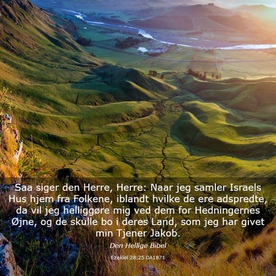 Picture 03 - Ezekiel 28:25 DA1871 - Saa siger den Herre, Herre: Naar jeg samler - Bible Verse Picture