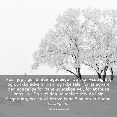 Picture 03 - Ezekiel 3:18 DA1871 - Naar jeg siger til den ugudelige: Du skal - Bible Verse Picture