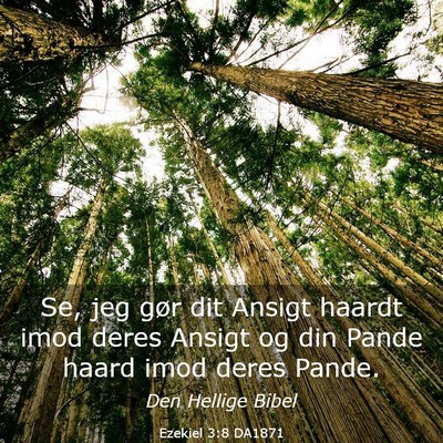 Picture 03 - Ezekiel 3:8 DA1871 - Se, jeg gør dit Ansigt haardt imod deres Ansigt - Bible Verse Picture
