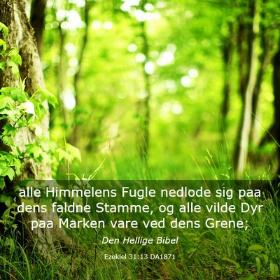 Picture 03 - Ezekiel 31:13 DA1871 - alle Himmelens Fugle nedlode sig paa dens faldne - Bible Verse Picture