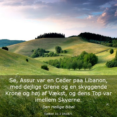 Picture 03 - Ezekiel 31:3 DA1871 - Se, Assur var en Ceder paa Libanon, med dejlige - Bible Verse Picture