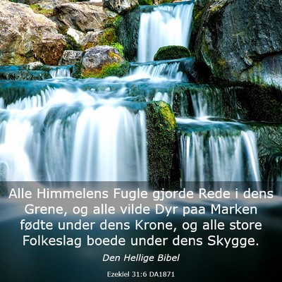 Picture 03 - Ezekiel 31:6 DA1871 - Alle Himmelens Fugle gjorde Rede i dens Grene, og - Bible Verse Picture