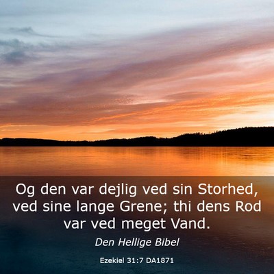 Picture 03 - Ezekiel 31:7 DA1871 - Og den var dejlig ved sin Storhed, ved sine lange - Bible Verse Picture