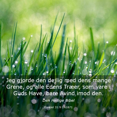 Picture 03 - Ezekiel 31:9 DA1871 - Jeg gjorde den dejlig med dens mange Grene, og - Bible Verse Picture