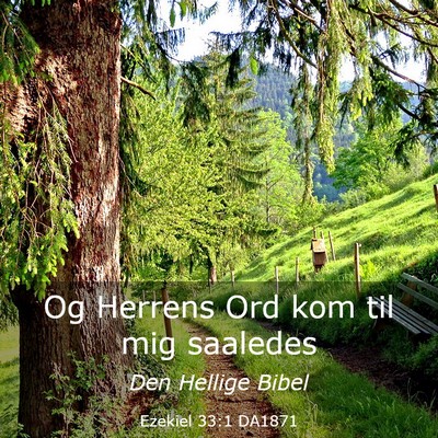 Picture 03 - Ezekiel 33:1 DA1871 - Og Herrens Ord kom til mig - Bible Verse Picture