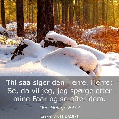 Picture 03 - Ezekiel 34:11 DA1871 - Thi saa siger den Herre, Herre: Se, da vil jeg, - Bible Verse Picture