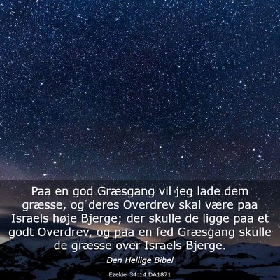 Picture 03 - Ezekiel 34:14 DA1871 - Paa en god Græsgang vil jeg lade dem græsse, og - Bible Verse Picture